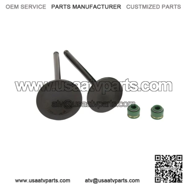 1988-2000 Honda TRx300 Fourtrax 300 Intake Exhaust Valves Seals (For: Honda) - Image 2