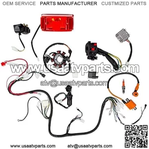 Complete Electrics Wiring Harness 8 Stator Ignition Coil CDI Tail Light Compatible with 4 Stroke 150cc 200cc 250cc 300cc ATV Quad Dirt Bike