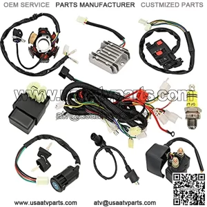 Rain King Complete GY6 Wiring Harness kit Electrics Stator Coil CDI Ignition Coil for Wiring Harness 50cc 70CC 90CC 110CC 125cc 4 Stroke ATV Dirt Bike Moped Quad Go Kart Scooter
