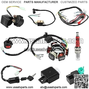 Everrich Quad Wire Harness Complete Wiring Harness Complete Electrics Stator Coil CDI Solenoid Relay Spark Plug for 4 Stroke ATV 50cc 70cc 90cc 110cc 125cc Pit Quad Dirt Bike Go Kart Parts