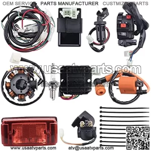 Complete Electrics Wiring Harness Stator Coil CDI Solenoid Relay Spark Plug Tail Light for 4 Wheelers Stroke ATV 150cc 200cc 250cc 300cc Pit Dirt Bike Go Kart Zongshen Lifan by AUTOMOTIVE