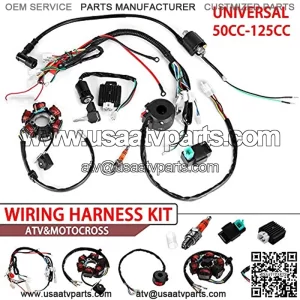 Hasde Wire Harness Wiring Loom CDI Ignition Coil Spark Plug Rebuild Kit for 50cc 70cc 90cc 110cc 125cc ATV Electric Stator CDI Coil ATV Quad Bike Buggy Go Kart