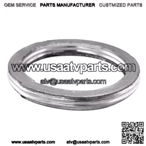 Exhaust gasket ODES 800 21040400101