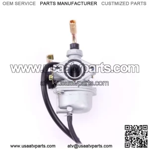 Carburetor PZ19G 19mm minibus armor