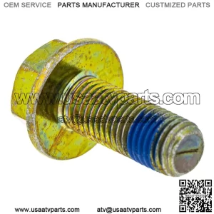 Polaris GEM Bolt with Patch, 10 mm x 1.25 mm x 25 mm, Genuine OEM Part 7518760, Qty 1