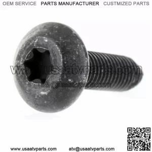 7520121 OEM Polaris Scr-tftx-m8x1.25x30 ZOD