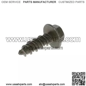 Polaris SCR-HXFL-M6X20 ZOD HI LO 7520055 OEM NEW