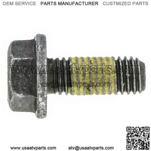 Polaris New OEM Scr-Hxfl-M8X1.25X20 8.8 Zod P3 7519133