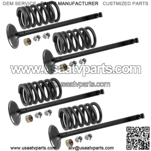 12005-0047 49078-0014 12011-1051 Exhaust Valve Kit For Kawasaki