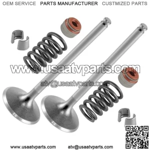 420855029 420239292 420430420 420254600 Exhaust Valve Kit For Can-Am 2x