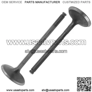 Intake & Exhaust Valve for Arctic Cat ZR 9000 2014 2015 2016 / 3007-784