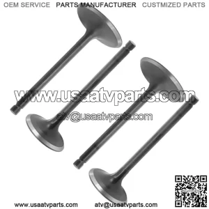 2x Exhaust & Intake Valve for Yamaha Kodiak 700K 4x4 2016 / 2MB-E2121-00-00