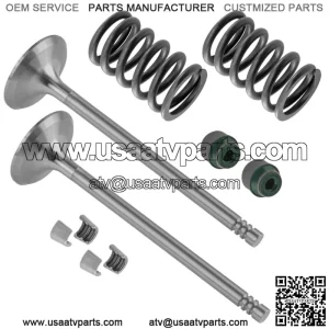 2x Exhaust Valve Kit for Can-Am CanAm Renegade 650 2022 / 420254368 420254361
