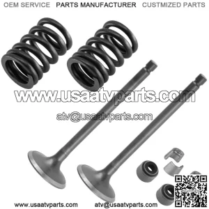 2x Exhaust Valve Kit for Yamaha 5VK-12121-00-00 1S3-12113-00-00 5H0-12119-00-00