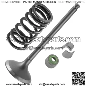 Intake Valve Kit for Yamaha 5TA-12111-00-00 5TA-12113-00-00 1WG-12118-00-00