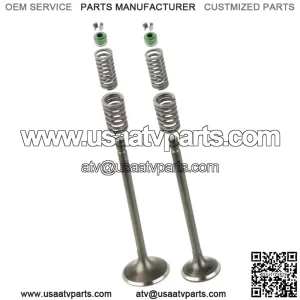 Cylinder Head Intake Exhaust Valve Kit for Honda XR200 XR200R 1980-2002