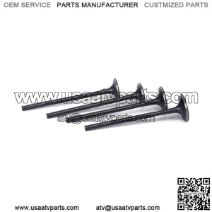 Motorcycle Engine Intake Exhaust Valves for Kawasaki KFX Suzuki WRF