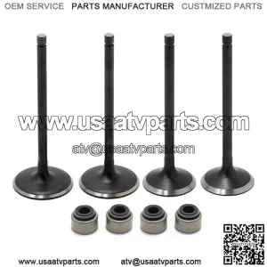 Intake Exhaust Valves & Seals Kit For Yamaha Raptor 700 / Rhino 700 / Viking 700 / Kodiak 700 / Grizzly 700