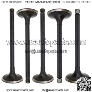 Engine Intake Exhaust Valve for Yamaha Grizzly Raptor Rhino 660 660R 2001-2008 (Fits: Yamaha Rhino 660)