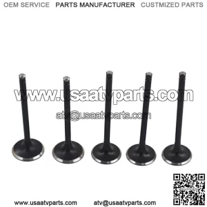 Engine Intake Exhaust Valve Kit for Yamaha Raptor 660R 2001-2005