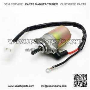 RLX50 2 stroke ATV starter motor