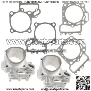 F & R Cylinder w/ Gaskets For Kawasaki Teryx 800 KRF800 LE 2021 (For: More than one vehicle)