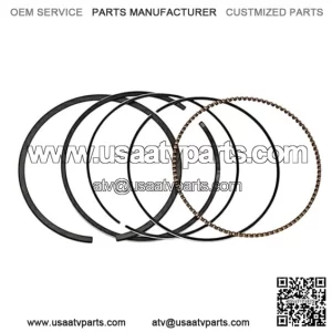 Piston rings ODES 21170100301