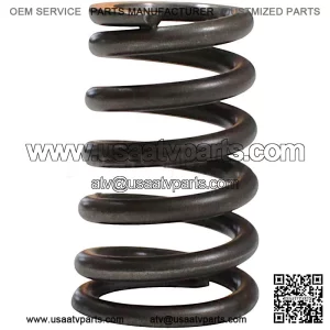 Valve Spring SFA 1000