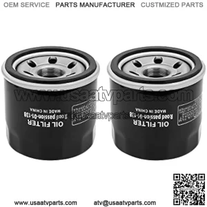 2PCS 1651003G00 1651006B00 Oil Filter Fit for PH6018 for Boulevard C50 C90 M109R M50 V-Strom 1000 650 DL650 Suzuki Eiger 400 LTA400 Gsx600 Katana 600 Select Aprilia Artic Cat Kymco Suzuki Models