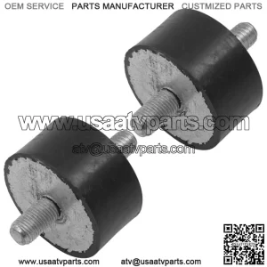 Engine Mount For Worker 500 1999-2001  3024012