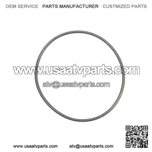O-Ring 420831160, P420831160