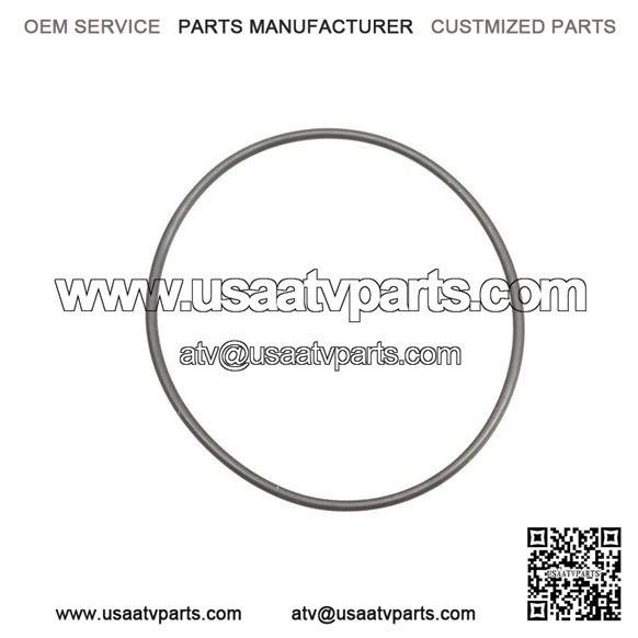 O-Ring 420831160, P420831160