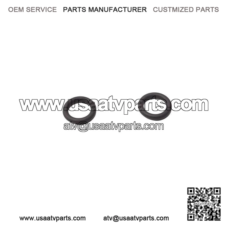 O-Ring 420250290
