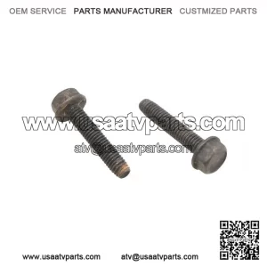 Hex Flange Screws M6x30 210263080