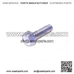 Tapping Screw 420941925
