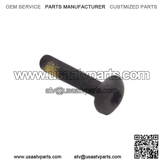 Torx Screw M5x25 250000300
