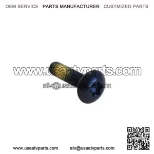Truss Torx Screw 250000242