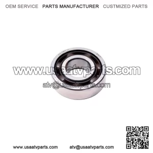 Ball Bearing 420232855